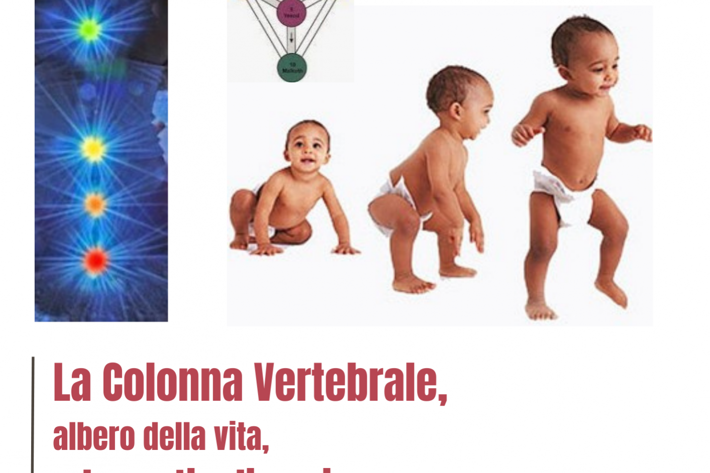 La Colonna Vertebrale, LORE Colonna vertebrale - Milano