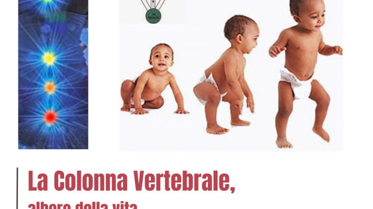 Colonna vertebrale - Milano