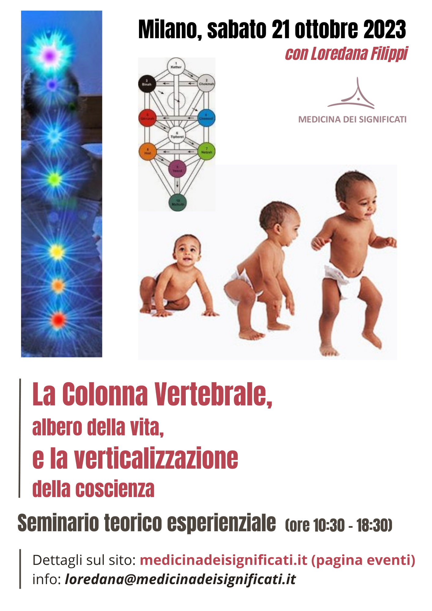 Colonna vertebrale - Milano