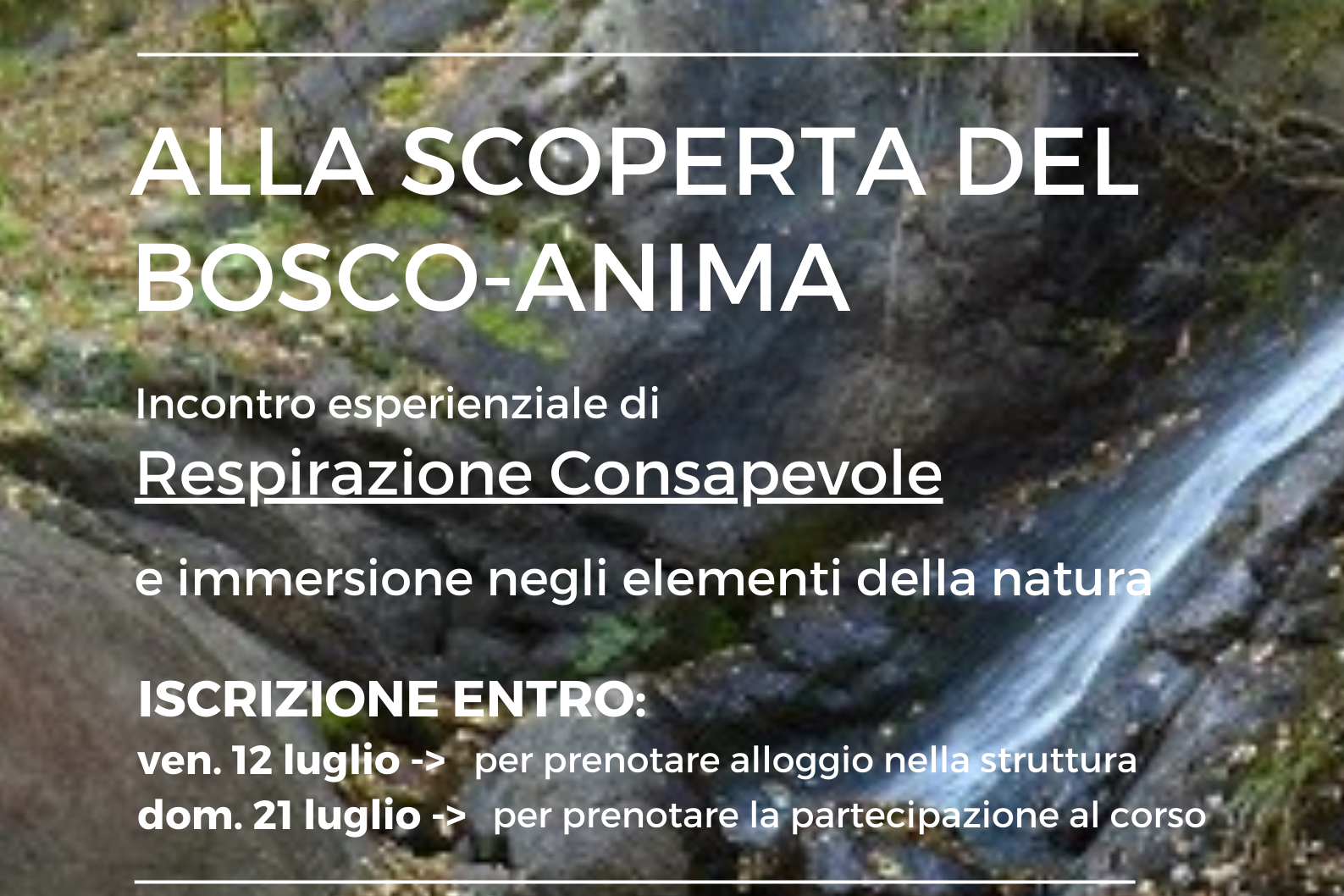 BOSCO-ANIMA 2024 BOSCO ANIMA 2024